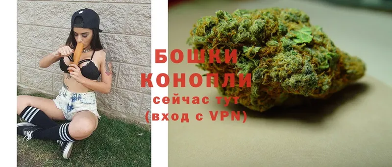 мега онион  Злынка  Шишки марихуана LSD WEED  что такое  